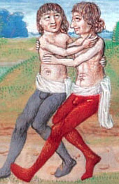 Pietro D'Abano

A Rural Dalliance

Illustration from an illuminated manuscript of his Commentary on Aristotle's Problems, 1315